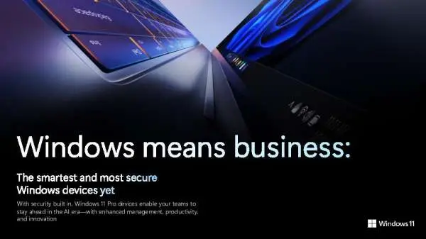 Windows Means Business